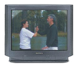 Push-Hands DVDs