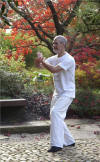 Qi bung fr Kampfkunst: Shaolin Qigong